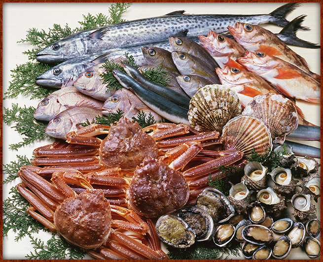 魚介類の画像